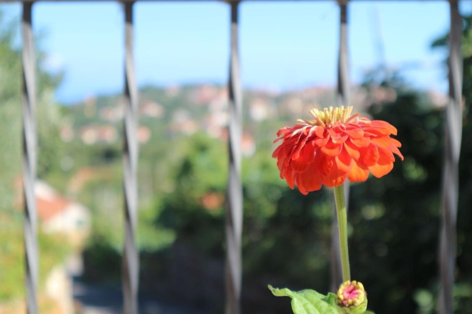 Il Balcone Delle Dee Villa Аджерола Екстериор снимка